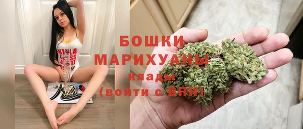 крисы Киренск