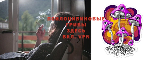 крисы Киренск