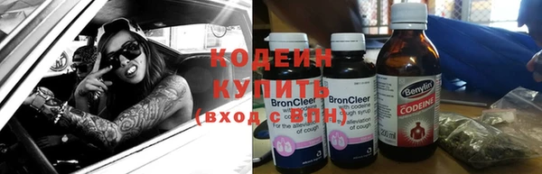 крисы Киренск